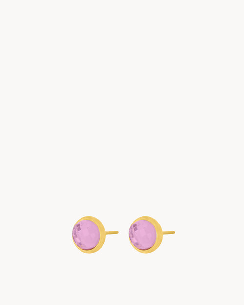 February Birthstone Devotion Signature Dainty Stud Earrings