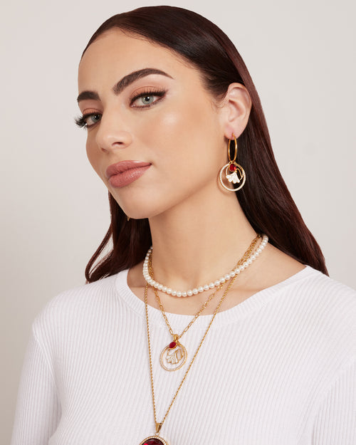 January Birth Flower Halo Birthstone Necklace Set