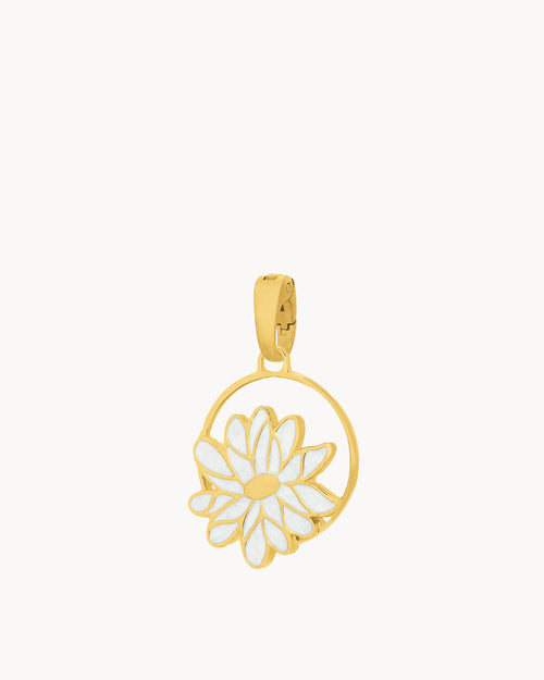 April Birth Flower, Daisy