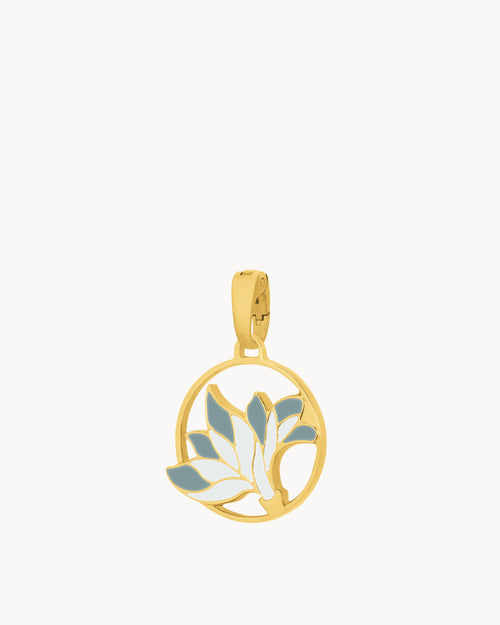 December Birth Flower, Narcissus