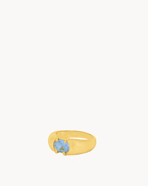 December Birthstone Uniqueness Signet Ring