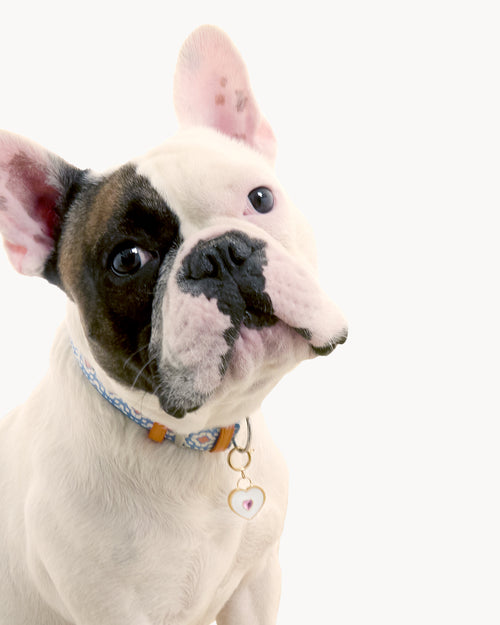 Heart Of Joy Dog Tag