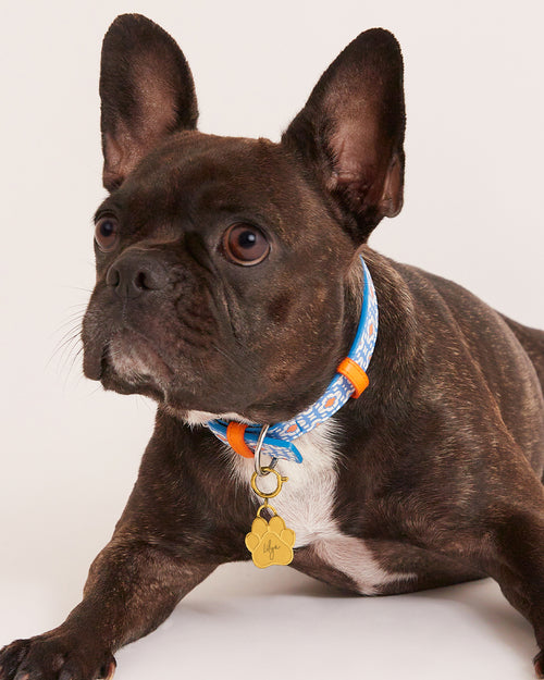 Pet Engravable Paw Pendant, Gold