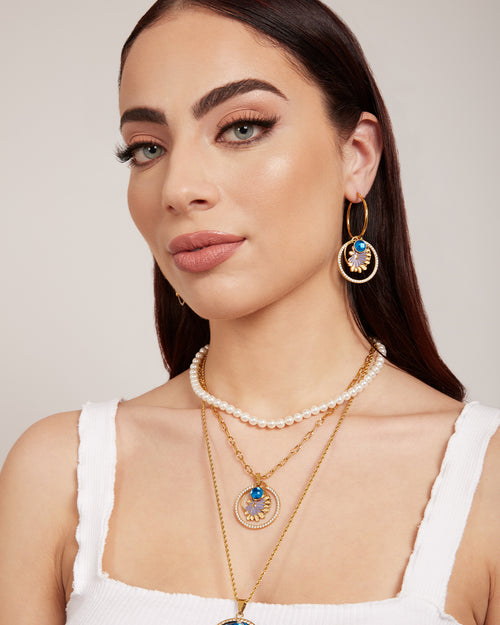 September Birth Flower, Aster