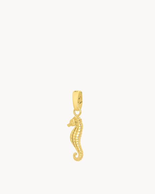 Seahorse Power Pendant