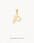 P Dainty Siġill Initial Pendant