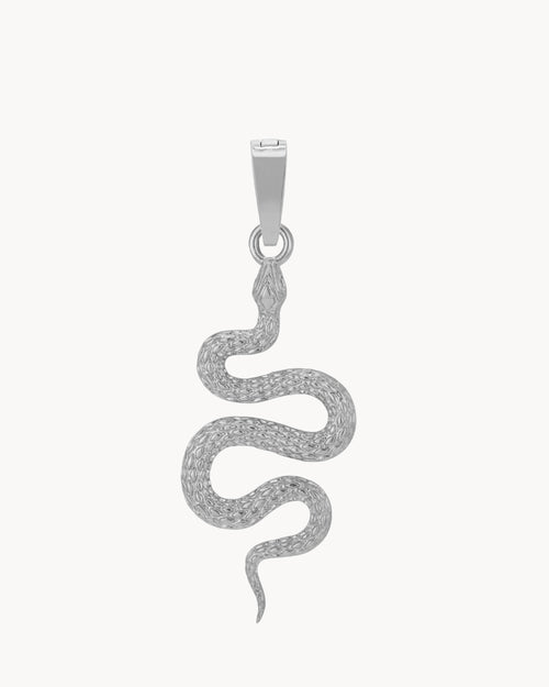 Snake Pendant, Silver