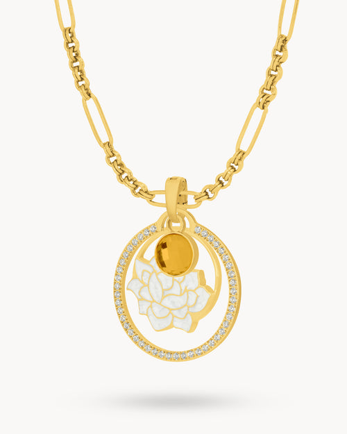 NOVEMBER CHRYSANTHEMUM