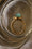 ALL RINGS