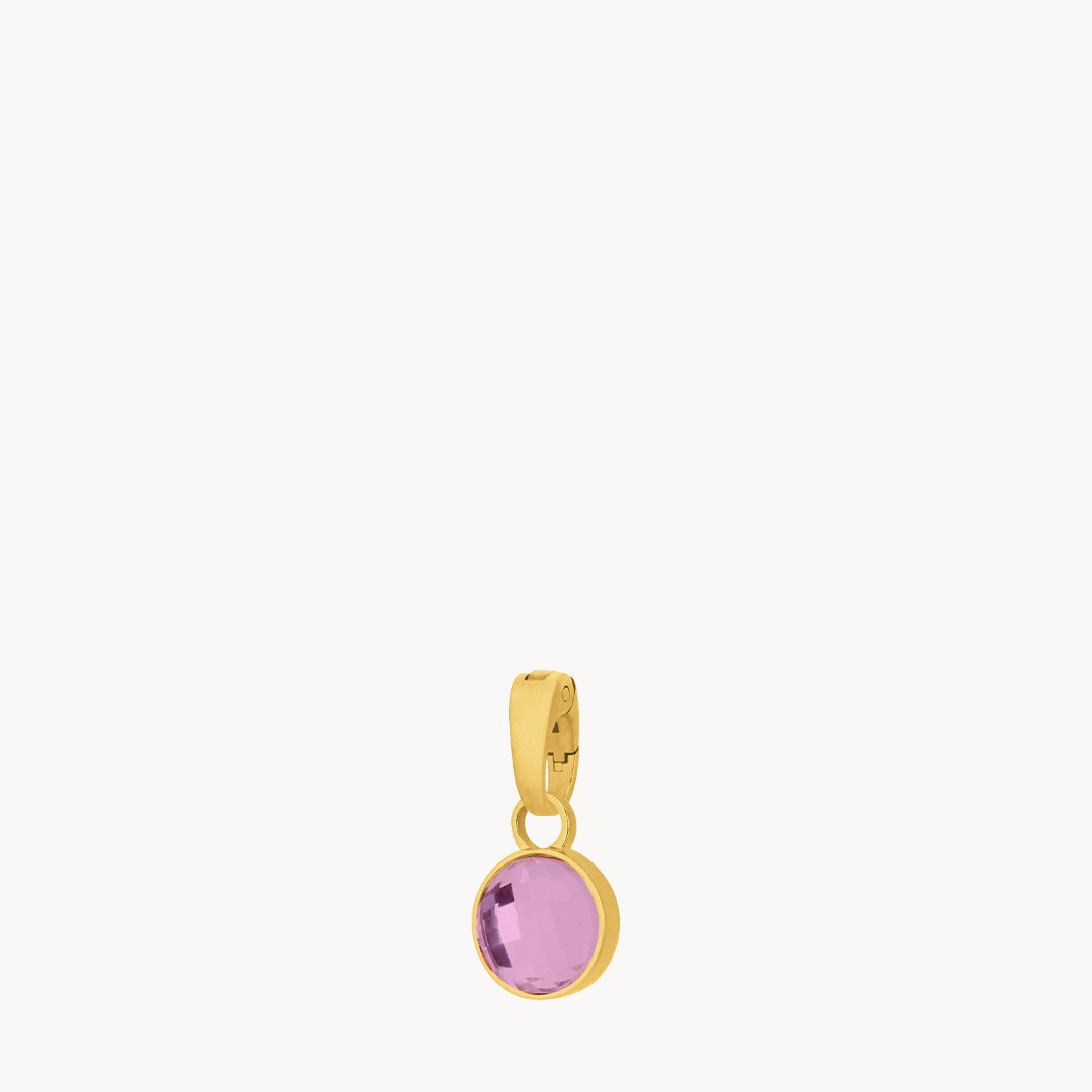 February Birthstone Devotion Dainty Signature Pendant, Gold