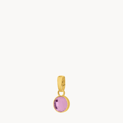 February Birthstone Devotion Dainty Signature Pendant, Gold