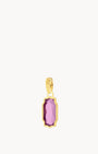 February Birthstone Devotion Bizzilla Charm