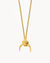 Positive Energy Horn Necklace