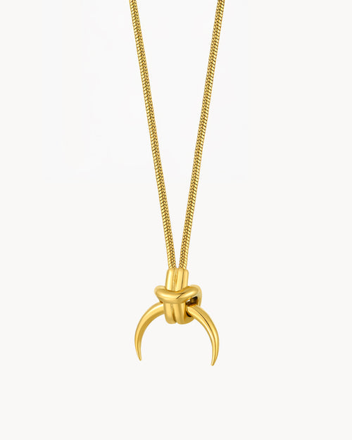 Positive Energy Horn Necklace