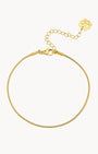 Round Snake Chain