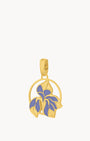 February Birth Flower, Iris