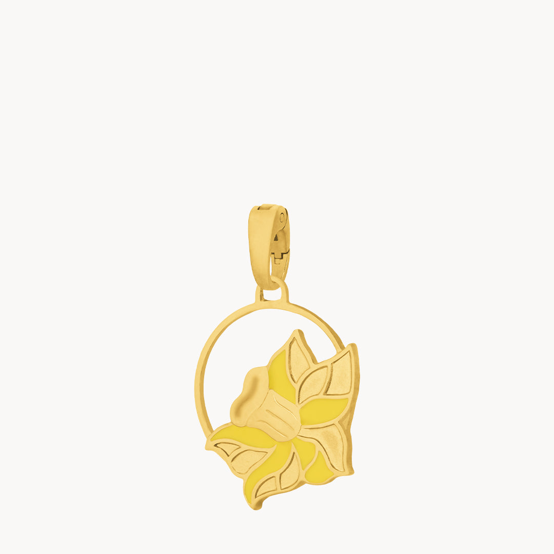 March Birth Flower, Daffodil