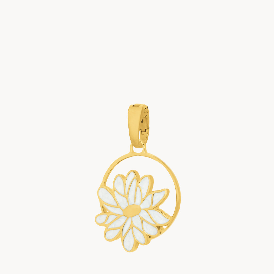April Birth Flower, Daisy
