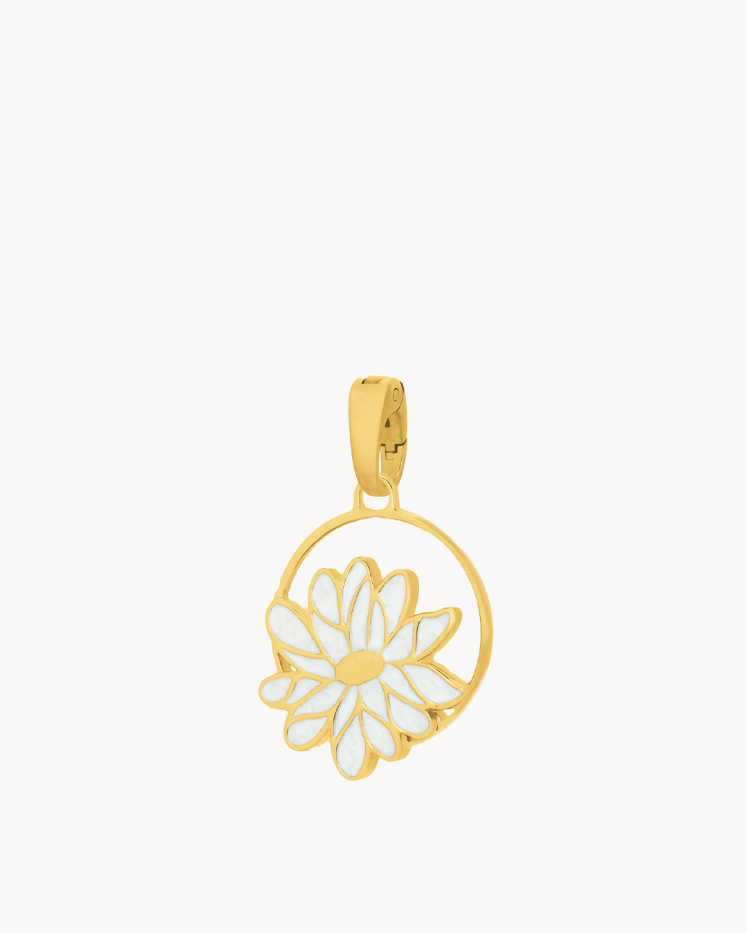 April Birth Flower, Daisy