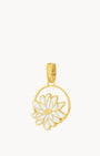April Birth Flower, Daisy