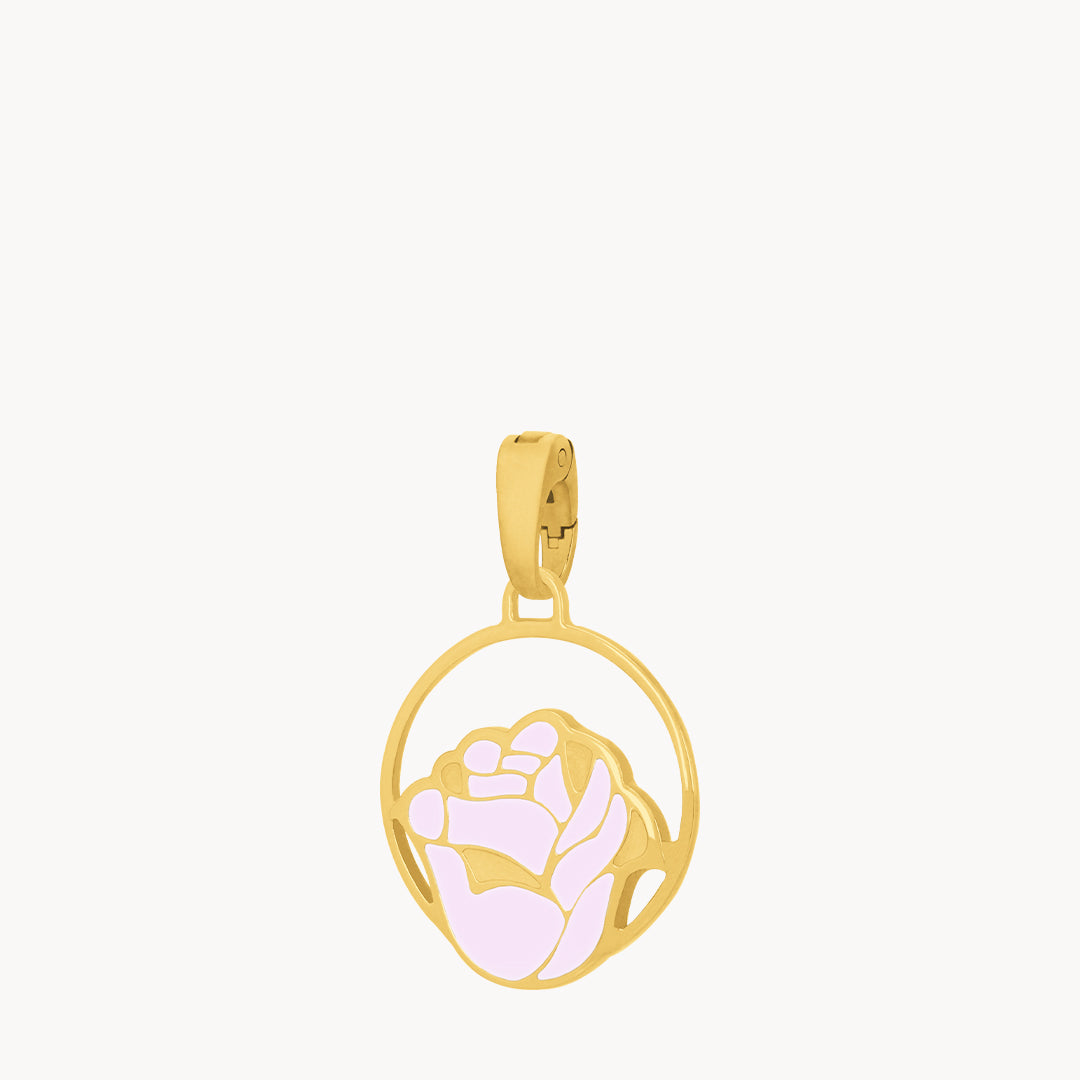 June Birth Flower, Rose