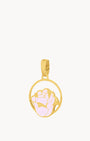 June Birth Flower, Rose
