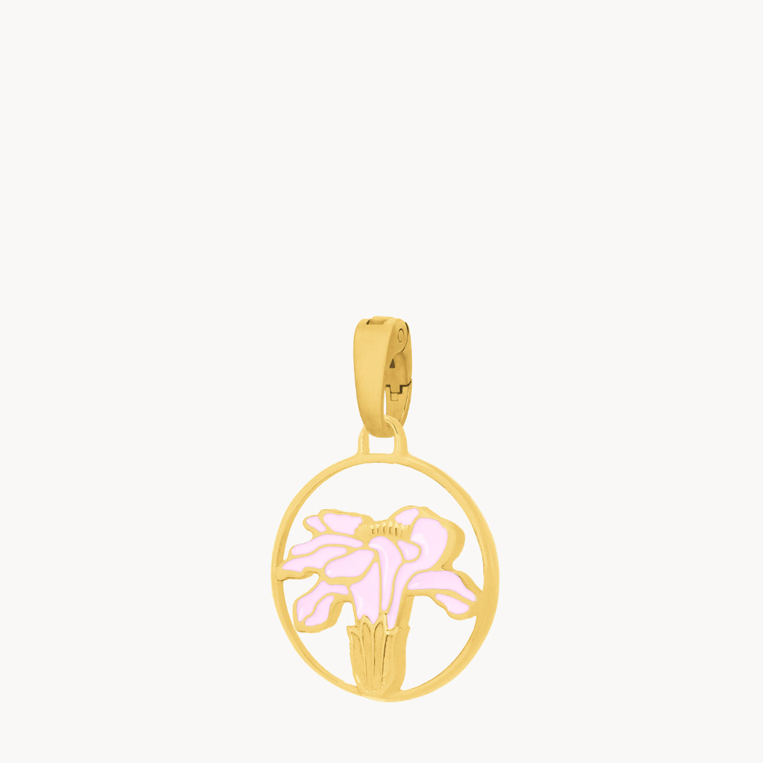 October Birth Flower, Marigold