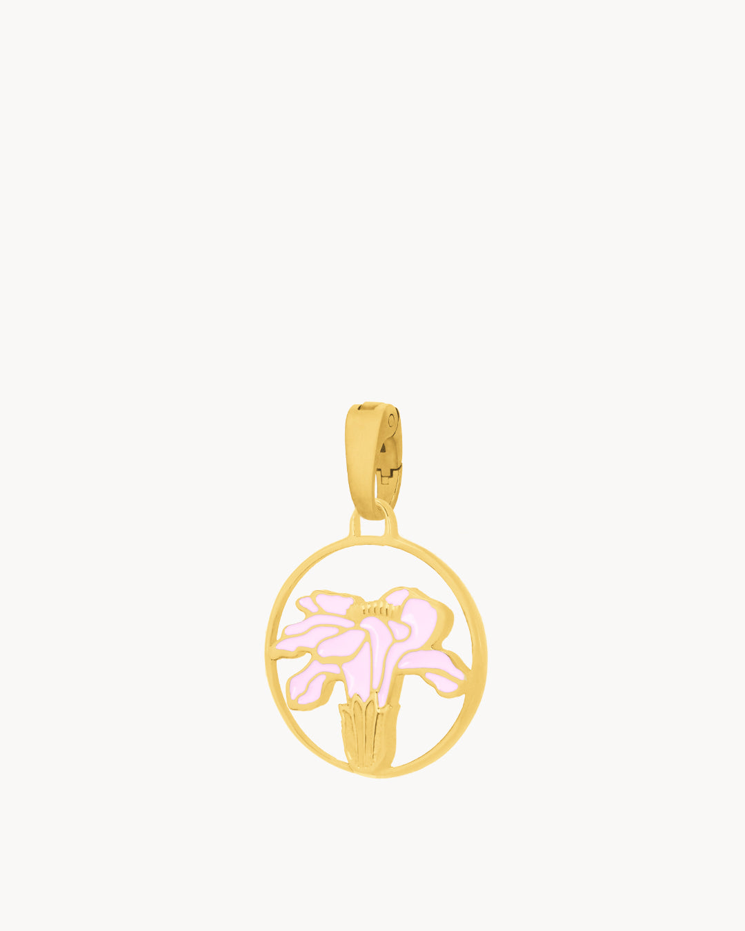 October Birth Flower, Marigold