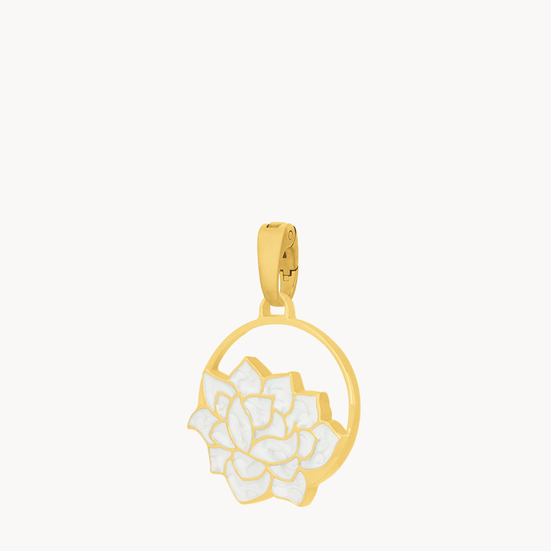 November Birth Flower, Chrysanthemum