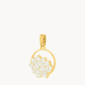 November Birth Flower, Chrysanthemum