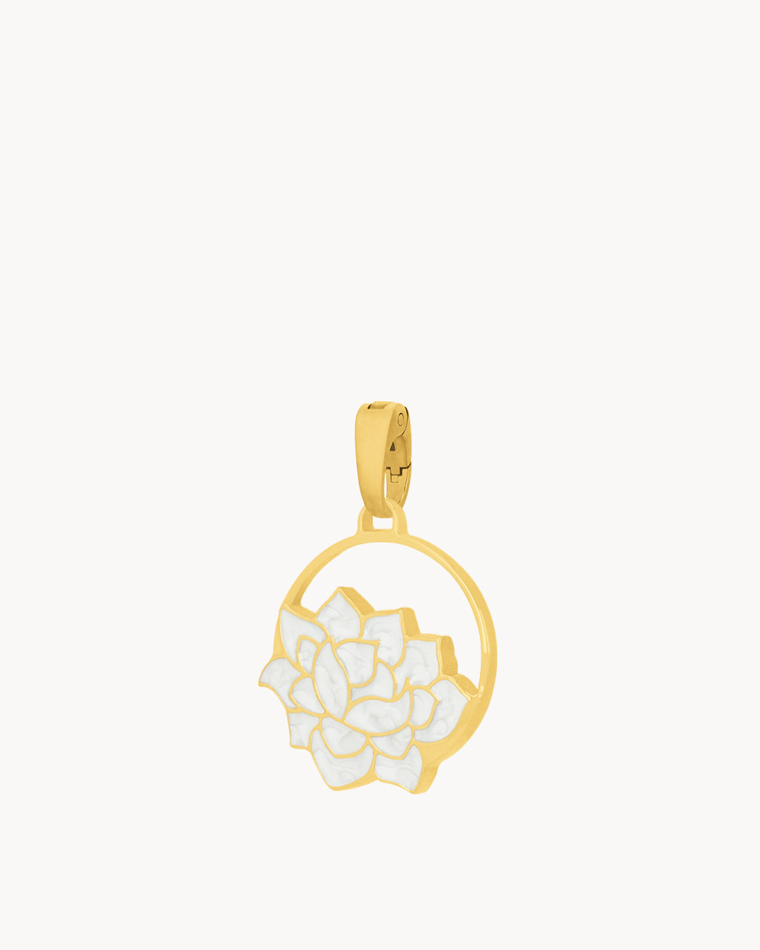 November Birth Flower, Chrysanthemum
