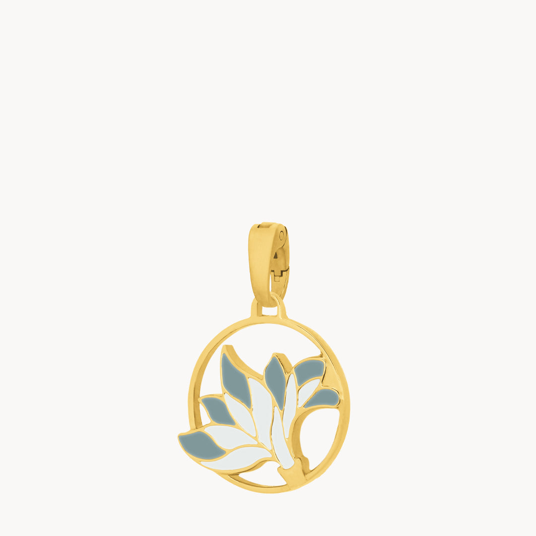 December Birth Flower, Narcissus