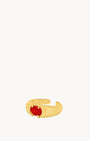 January Passion Signet Ring