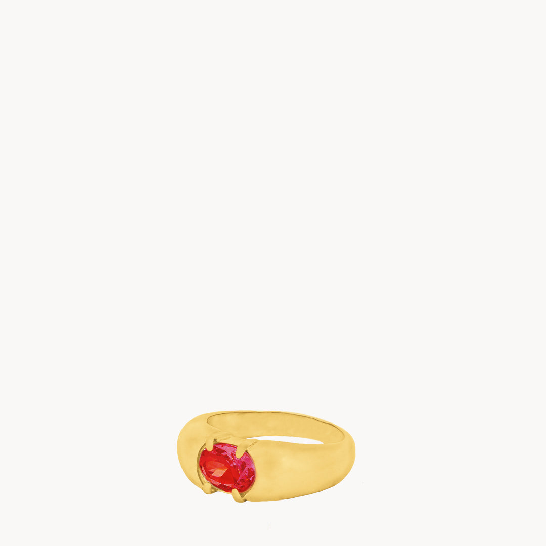 January Birthstone Passion Signet Ring