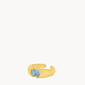 December Uniqueness Signet Ring