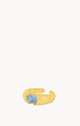 December Uniqueness Signet Ring