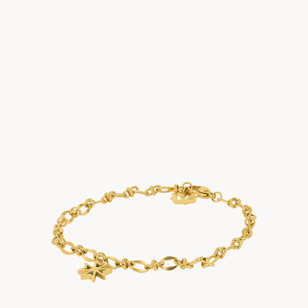 Kavallieri Link Chain Anklet