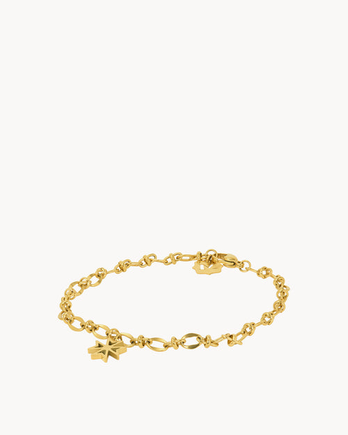 Kavallieri Link Chain Anklet