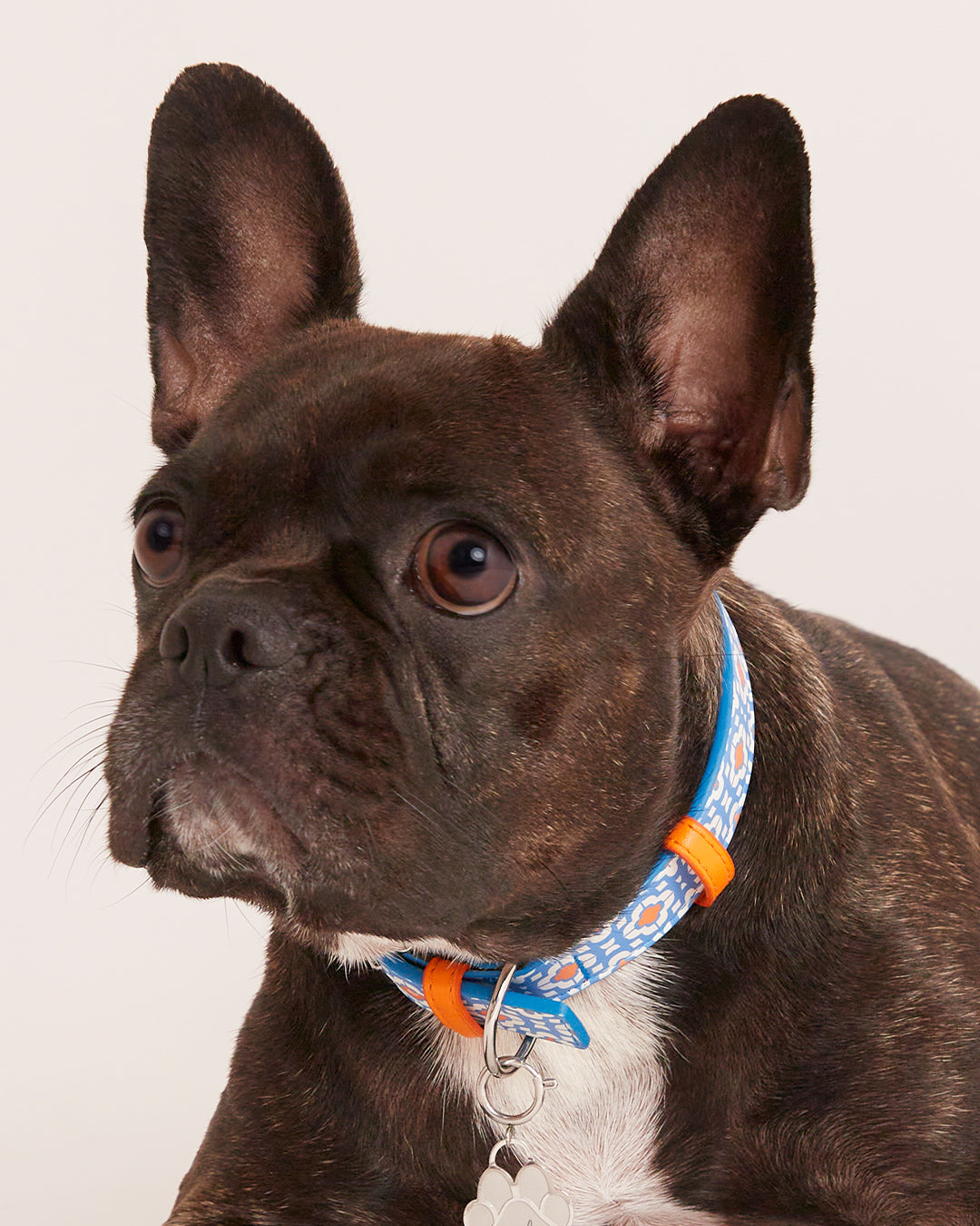 Bizzilla Collar, Silver