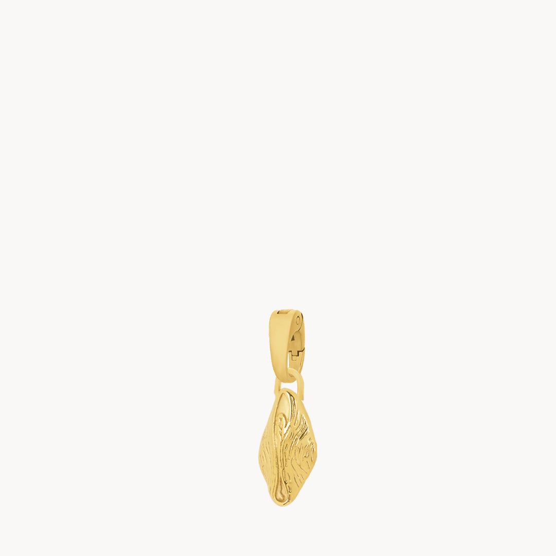 Pastizz Charm