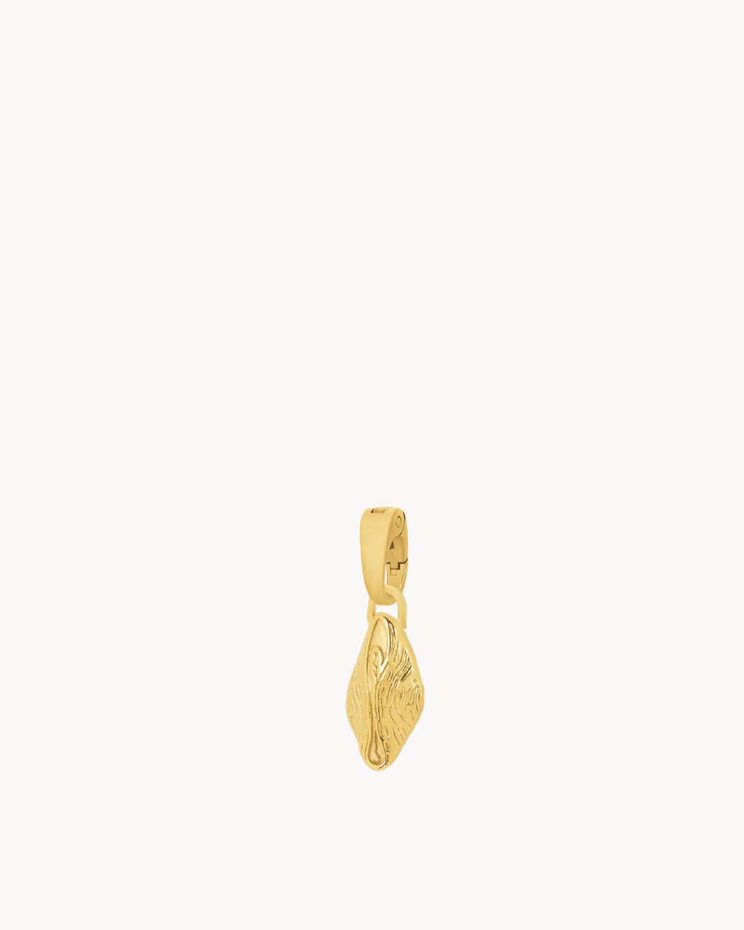 Pastizz Charm