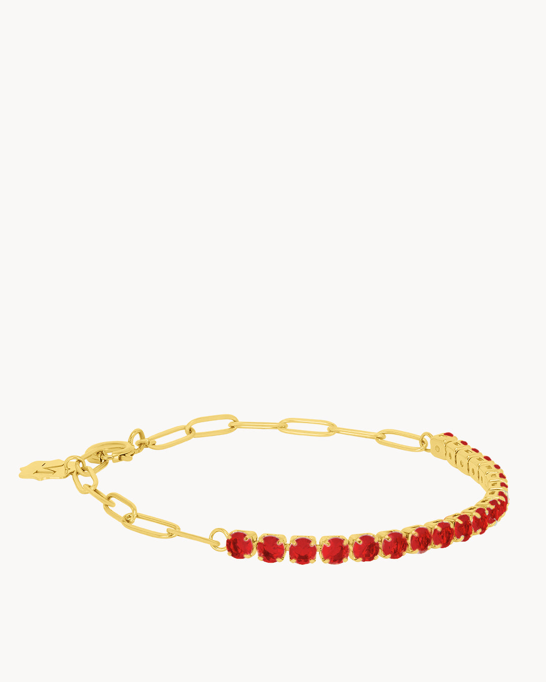 January Birthstone Passion Starlight Charm Bracelet