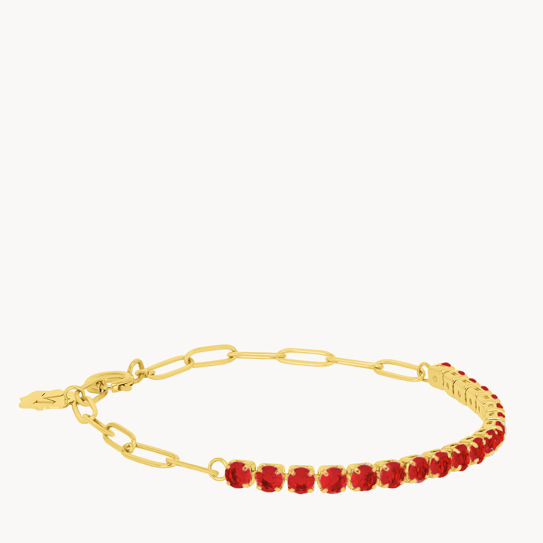 January Birthstone Passion Starlight Charm Bracelet