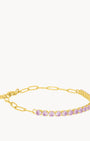 February Birthstone Devotion Starlight Charm Bracelet