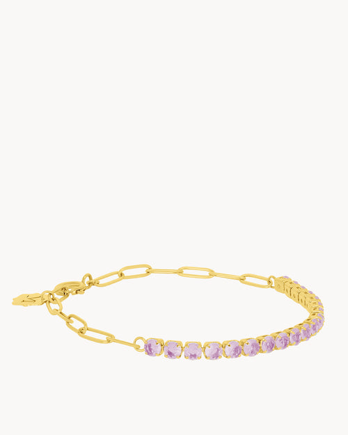 February Birthstone Devotion Starlight Charm Bracelet