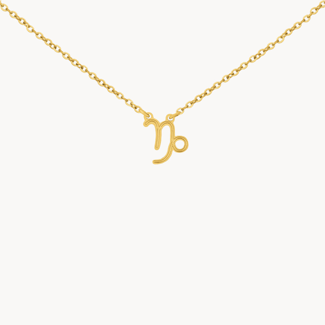 Capricorn Necklace