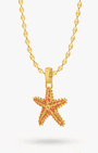 Reversible Starfish pendant, Shell Chain Set