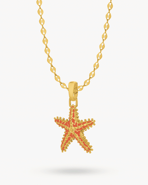 Reversible Starfish pendant, Shell Chain Set