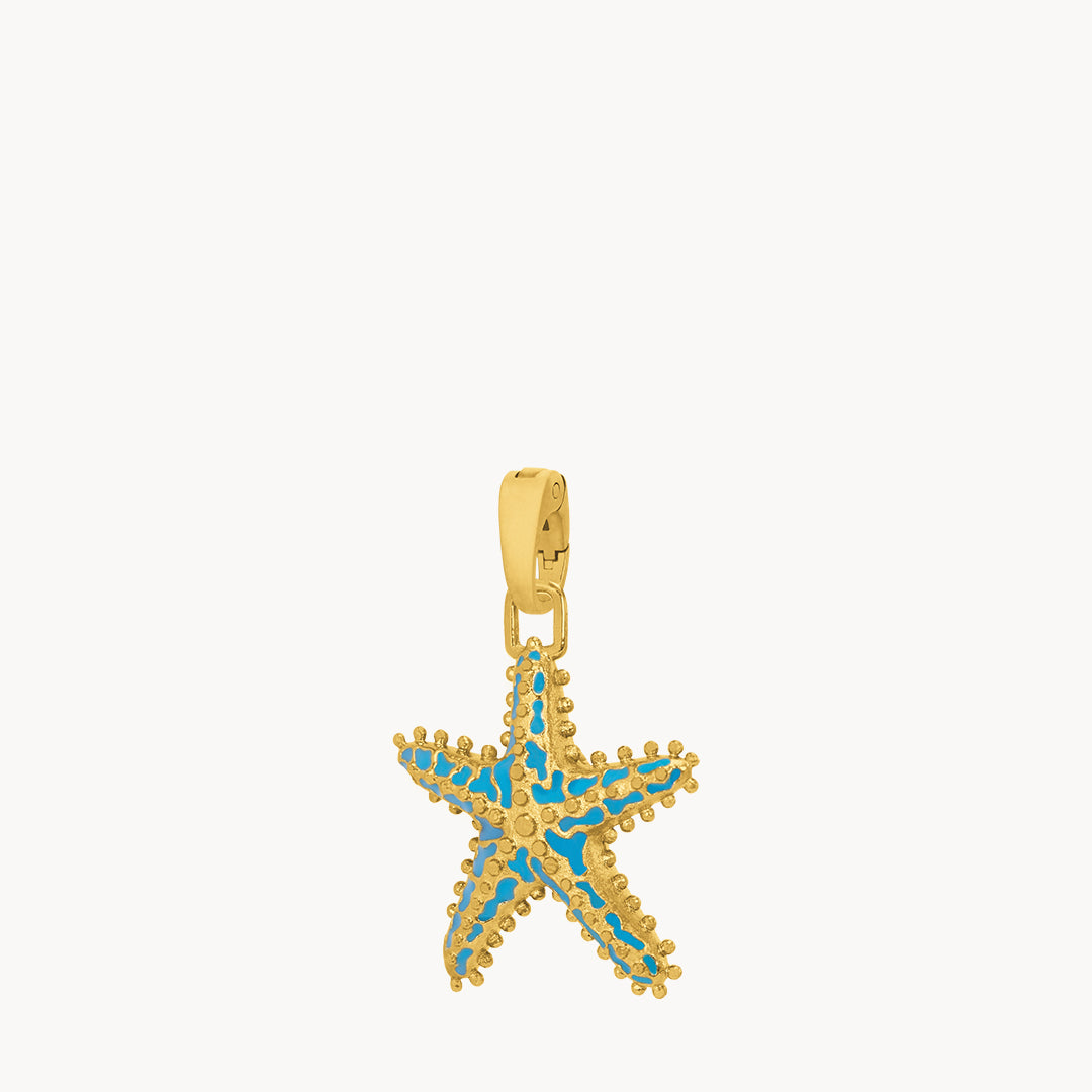 Radiant Reversible Starfish Pendant