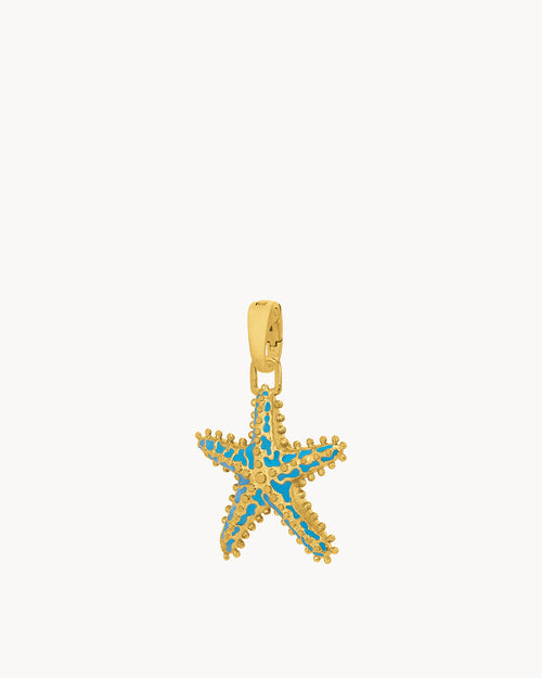 Radiant Reversible Starfish Pendant
